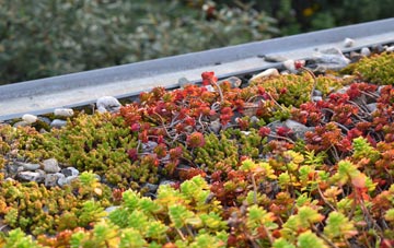 the cost of Northbrook green roof installation