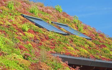Northbrook living roof systems