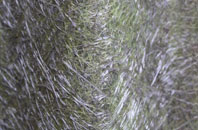 Northbrook fibreglass roof work